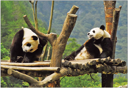 Parting ways with pandas