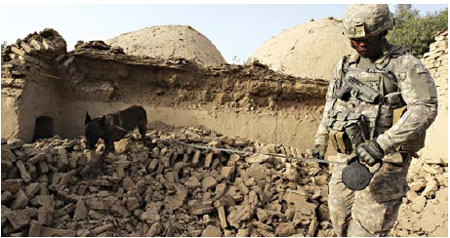 Canine soldiers, beloved and battle-tested