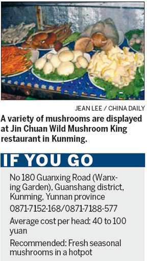Seasonal Yunnan mushroom hotpot