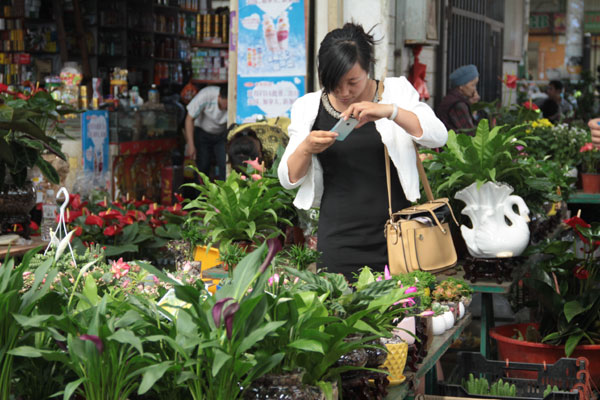 Reducing risks for Yunan's flower growers considered