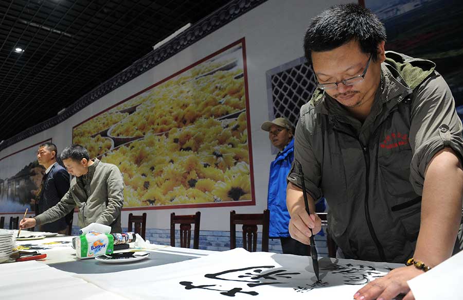 Chrysanthemum tea makes a splash in Wuyuan county