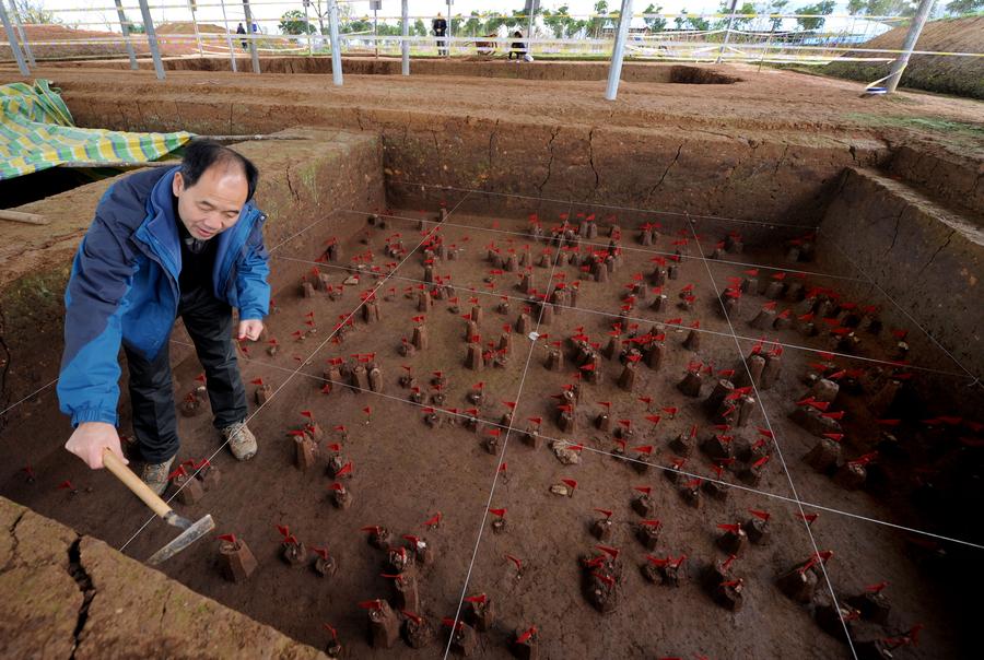 Traces of human activities dating back a million years found in Shaanxi