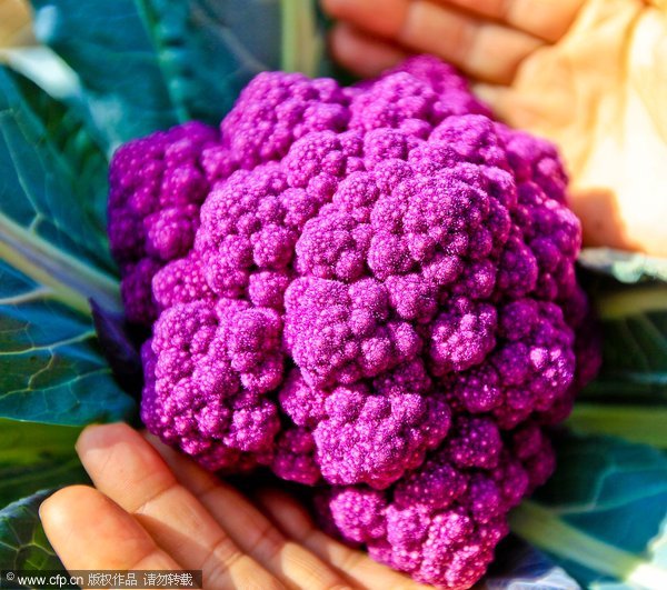 Vegetables created by weird science