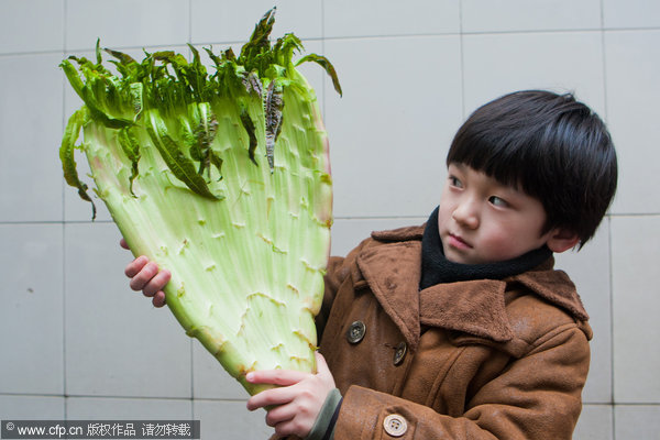 Fan-shaped lettuce grown in E China