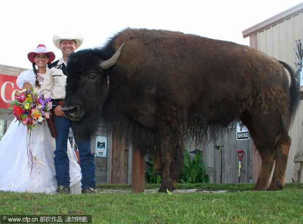 Buffalo as owner's 'best man'