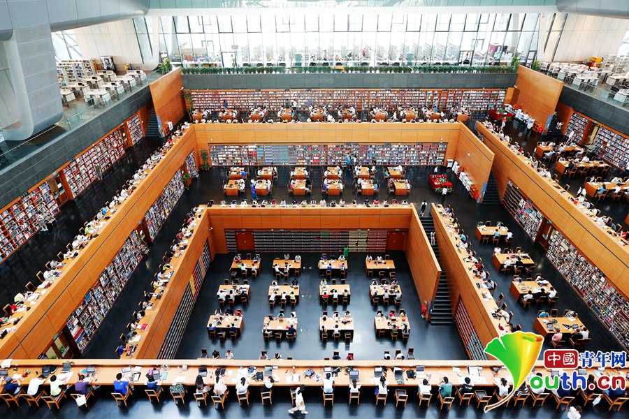 Reading in National Library over summer