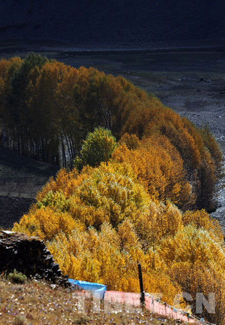 Autumn scenery along Sichuan-Tibet Highway