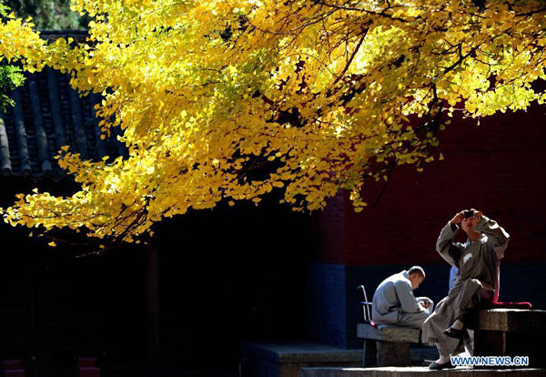 Gorgeous autumn scenery of Shaolin Temple