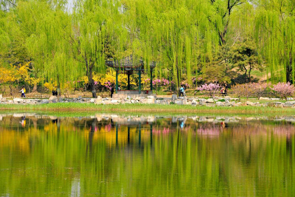 Prime of Spring at the Old Summer Palace