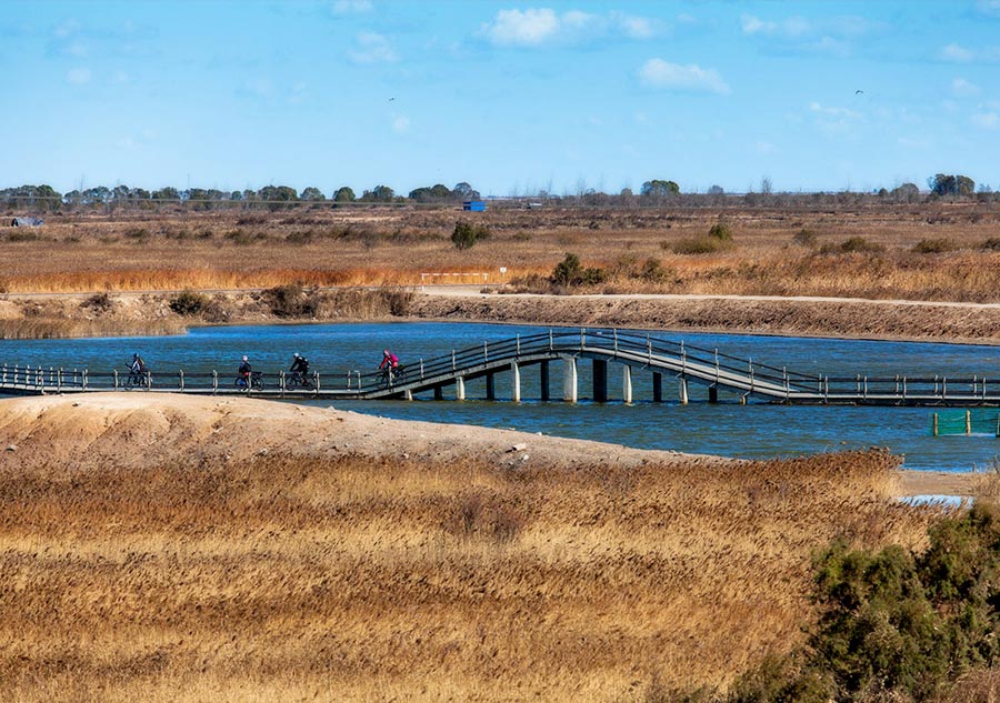 chinas most beautiful wetlands