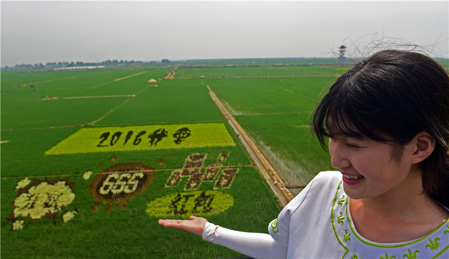 A summer treat: More amazing rice paddy art