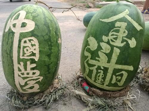 Farmer sells 3,000kg of carved watermelons in 11 days