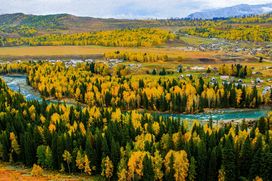 Xinjiang Altay prefecture: Land of Kazakh herdsmen, horses and golden fall