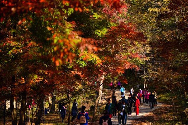 Jilin in autumn: Warm sunshine, bright colors and vibrant scenery