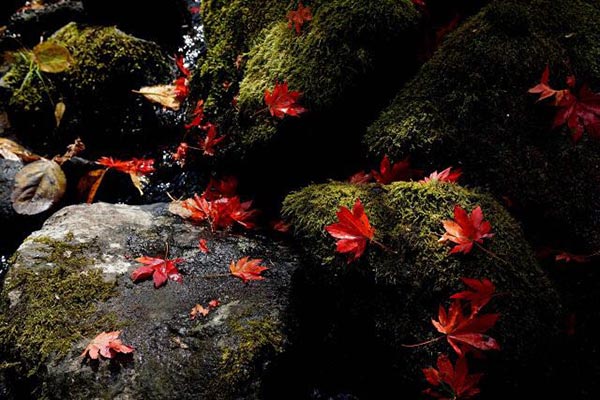 Jilin in autumn: Warm sunshine, bright colors and vibrant scenery