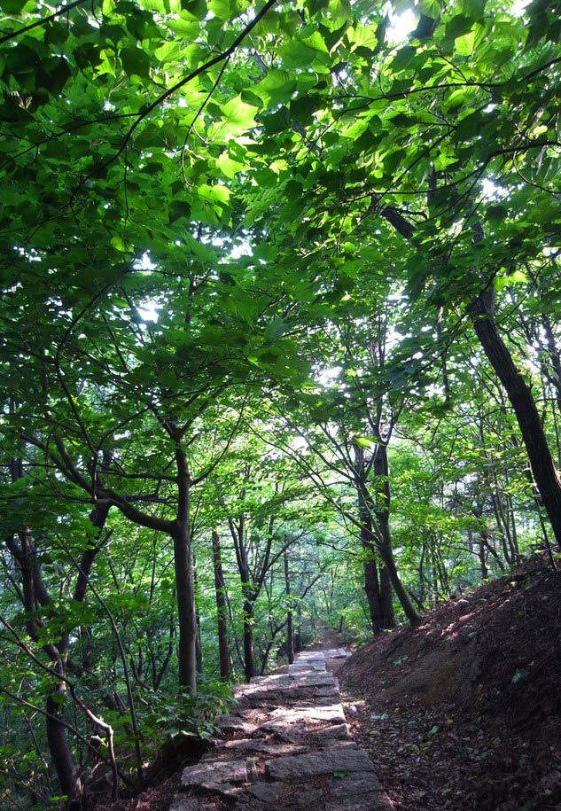 Summer escape: Jigong Mountain Nature Reserve