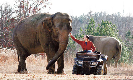 Elephant refuge starts anew after founder's firing