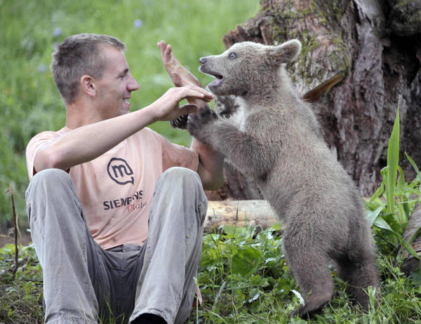 Slovenian family adopts a bear cub