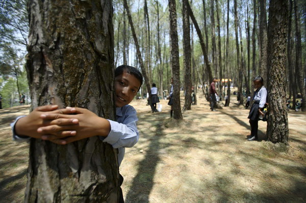 Nepalis hold trees to claim Guinness