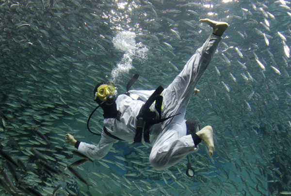 Perform Taekwondo amid sardines