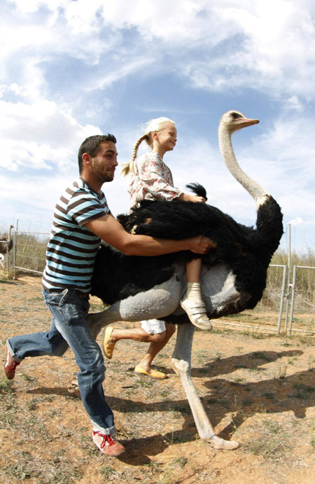 Take an ostrich ride in Spain