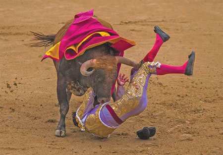 Bulls injure all three matadors, halting Madrid bullfight season