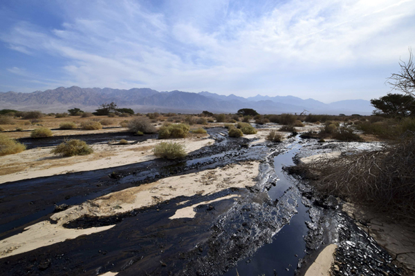 Oil spill in Israel, one of 'worst' environmental disasters