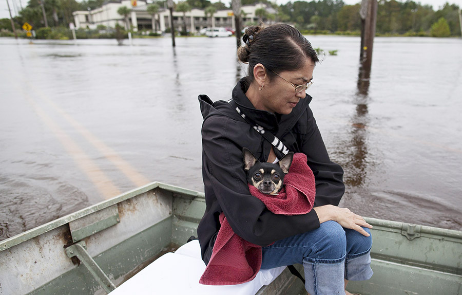 Fifteen dead as South Carolina gripped by historic flooding