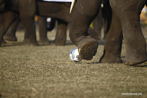 12th Elephant Festival held in Nepal