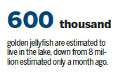 Jellyfish Lake losing namesake