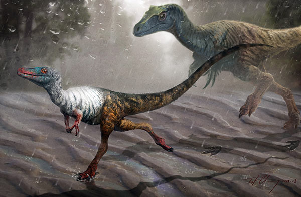 Fossil footprints bring dinosaurs to life