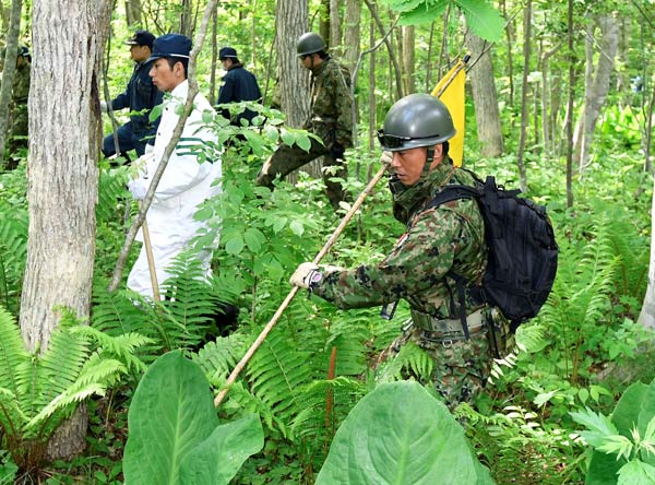 Japanese boy abandoned by parents in Hokkaido forest found alive