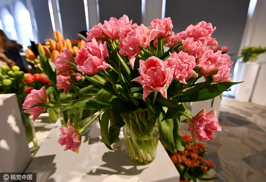 Tulip exhibition held in Poland