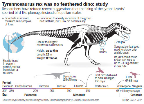 Dinosaur restores image as scaly killer after feather flap