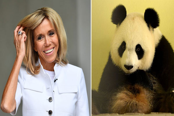 France's first lady to become Huan Huan panda's twins' godmother