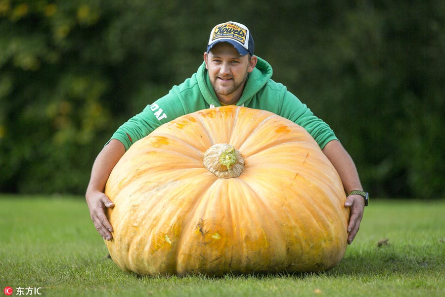 Giant vegetables win their prizes at Harrogate Autumn Flower Show