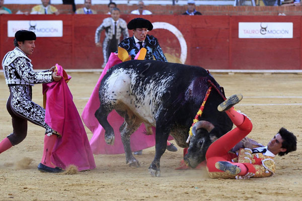 2 gored in bull run; bullfighter killed